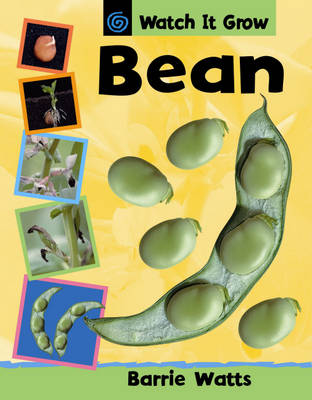 Bean - Watch it Grow (Paperback)