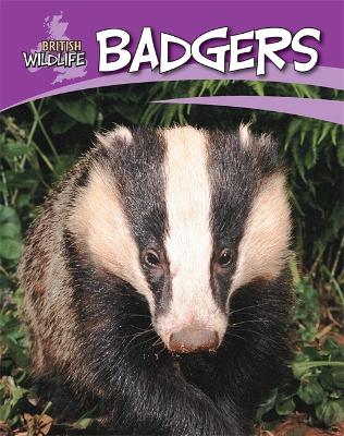 British Wildlife: Badgers - British Wildlife (Paperback)