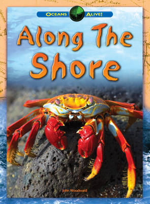Along The Shore - Oceans Alive (Hardback)