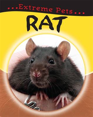 Rat - Extreme Pets 9 (Paperback)