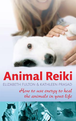 Animal Reiki: How to use energy to heal the animals in your life (Paperback)