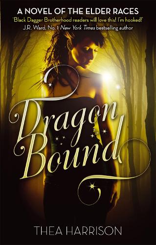 Cover of Dragon Bound
