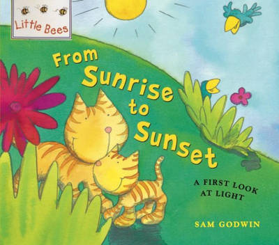 From Sunrise to Sunset: A First Look at Light - Little Bees 3 (Paperback)
