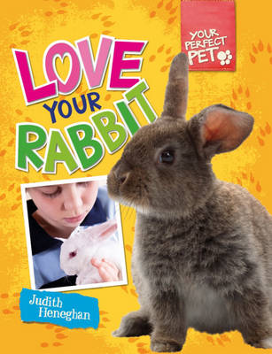 Love Your Rabbit - Your Perfect Pet 4 (Hardback)