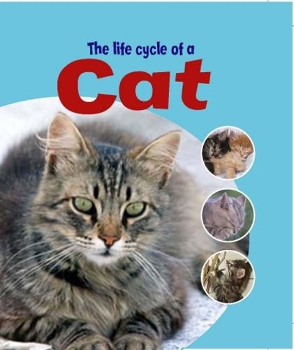 Learning About Life Cycles: The Life Cycle of A Cat - Learning About Life Cycles (Paperback)