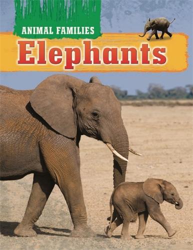 Animal Families: Elephants - Animal Families (Hardback)