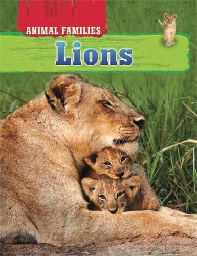 Animal Families: Lions - Animal Families (Hardback)