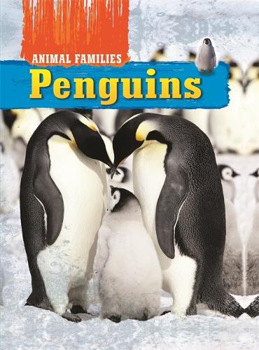 Animal Families: Penguins - Animal Families (Hardback)