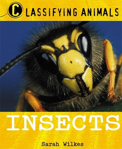 Classifying Animals: Insects - Classifying Animals (Paperback)