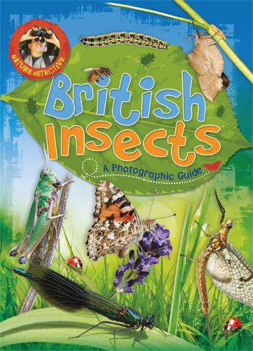 Nature Detective: British Insects - Nature Detective (Paperback)