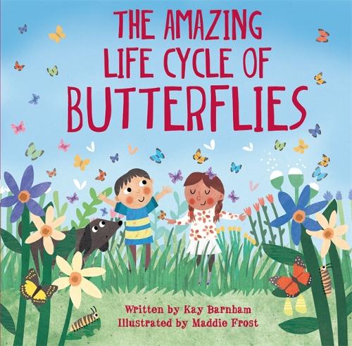 Look and Wonder: The Amazing Life Cycle of Butterflies - Look and Wonder (Hardback)