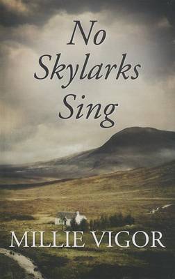 No Skylarks Sing (Hardback)
