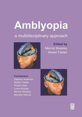 Amblyopia: A Multidisciplinary Approach (Paperback)
