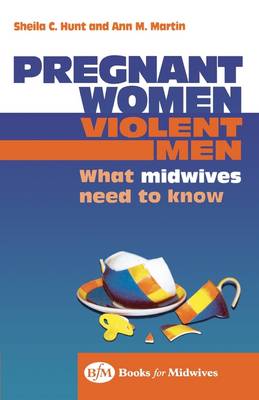 Pregnant Women, Violent Men: What Midwives Need to Know (Paperback)