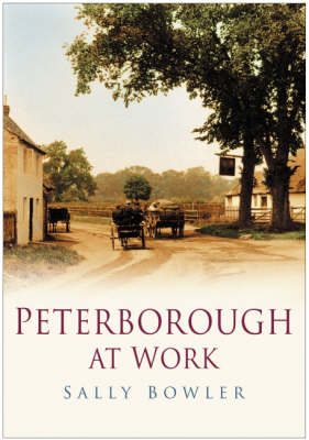 Peterborough at Work (Paperback)