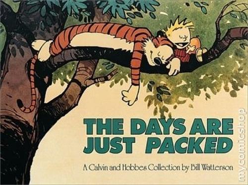 The Days Are Just Packed: Calvin & Hobbes Series: Book Twelve - Calvin and Hobbes (Paperback)