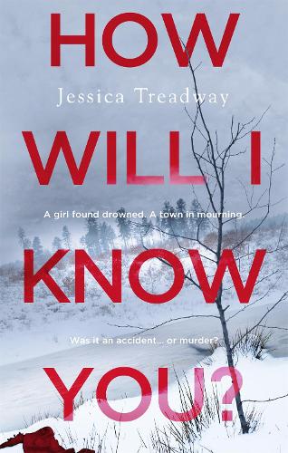 How Will I Know You? (Paperback)