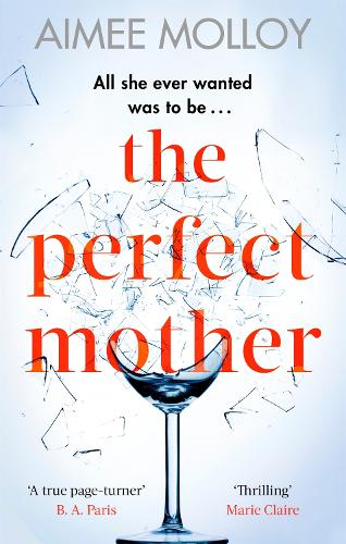 The Perfect Mother: A gripping thriller with a nail-biting twist (Paperback)