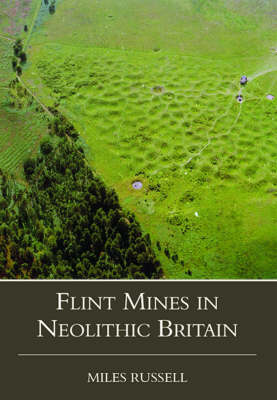 Neolithic Flint Mines in Britain (Hardback)