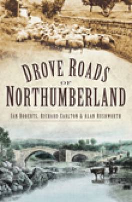 Drove Roads of Northumberland (Paperback)