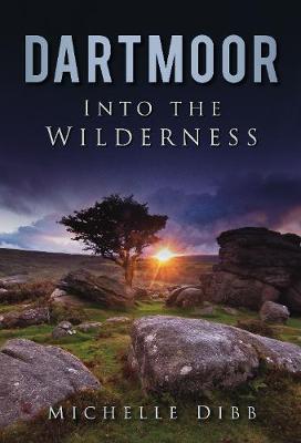 Dartmoor: Into the Wilderness - Michelle Dibb