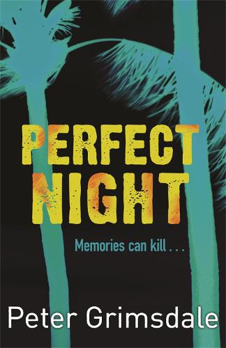Perfect Night (Paperback)