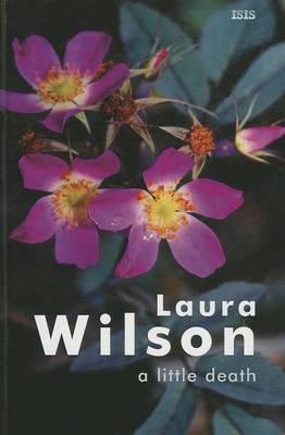 A Little Death (Hardback)