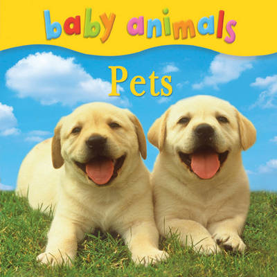 Baby Animals: Pets (Board book)