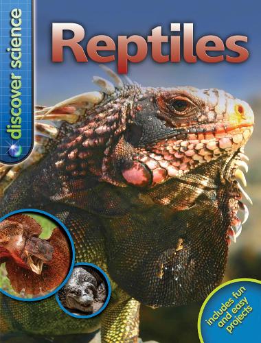 Discover Science: Reptiles - Discover Science (Paperback)