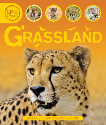 Life Cycles: Grassland - Life Cycles (Hardback)
