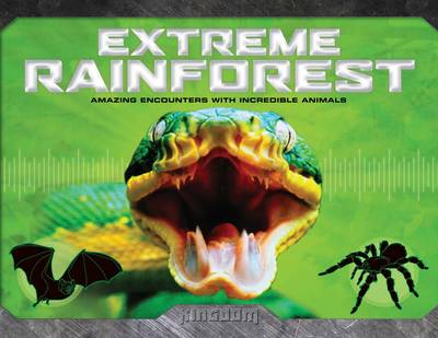 Kingdom: Extreme Rainforest (Hardback)