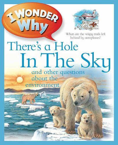 I Wonder Why There's a Hole in the Sky - I Wonder Why (Paperback)