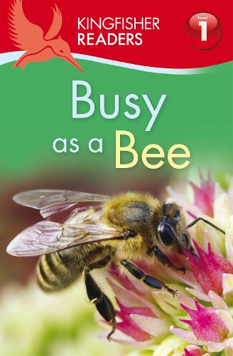 Kingfisher Readers: Busy as a Bee (Level 1: Beginning to Read) - Kingfisher Readers (Paperback)