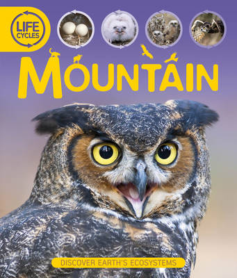 Life Cycles: Mountain - Life Cycles (Hardback)