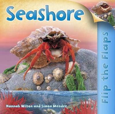 Flip the Flaps: Seashore - Flip the Flap (Paperback)