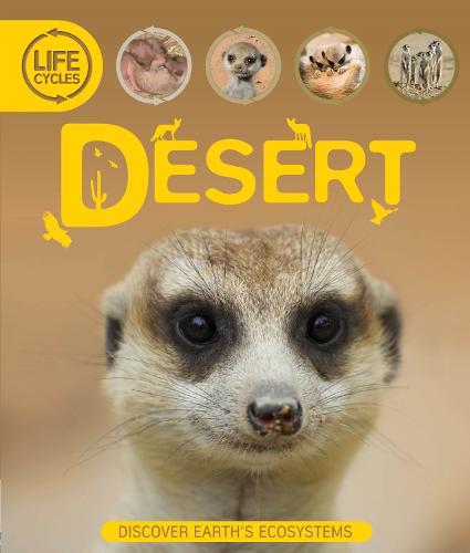 Life Cycles: Desert - Life Cycles (Paperback)