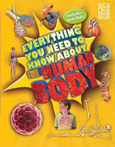 Everything You Need To Know About The Human Body - Everything You Need to Know (Paperback)
