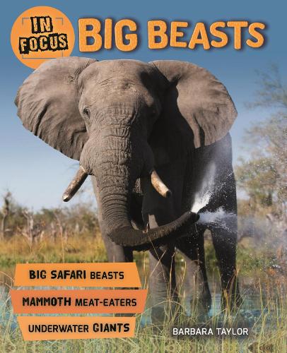 In Focus: Big Beasts - In Focus (Paperback)