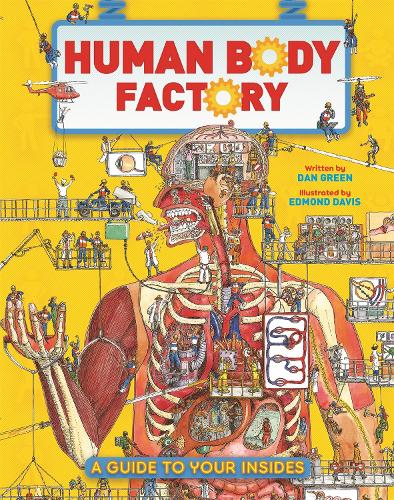 The Human Body Factory: A Guide To Your Insides (Paperback)