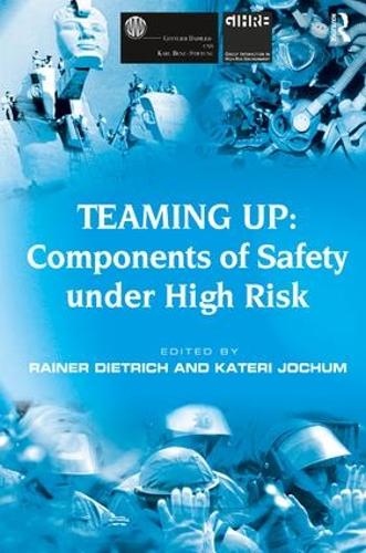 Teaming Up: Components of Safety Under High Risk (Hardback)