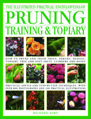 Illustrated Practical Encyclopedia of Pruning, Training and Topiary (Hardback)