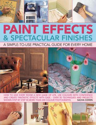 Paint Effects and Spectacular Finishes: A Simple-to-use Practical Guide for Every Home (Paperback)
