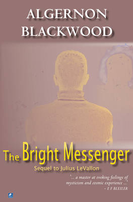 The Bright Messenger (Paperback)