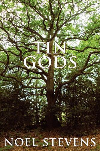 Tin Gods (Paperback)