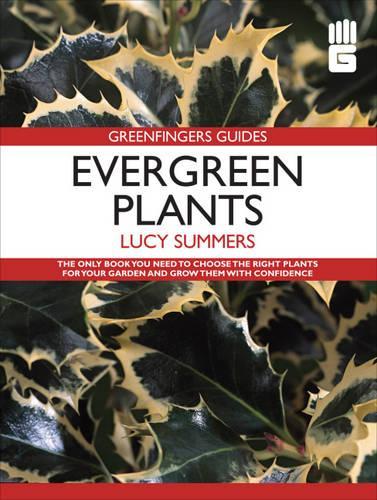 Evergreen Plants - Greenfingers Guides (Paperback)