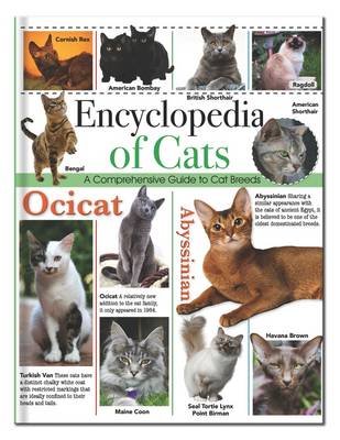 Encyclopedia of Cats: Encyclopedia Omnibus - 128pp Omnibus (Hardback)