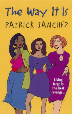 The Way It Is (Paperback)