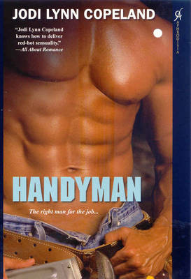 Handyman (Paperback)