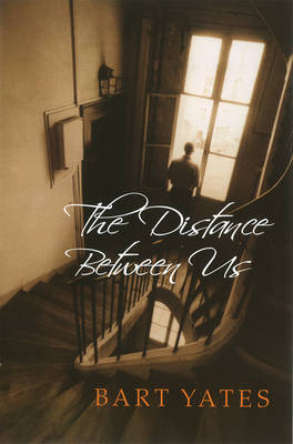 The Distance Between Us (Paperback)