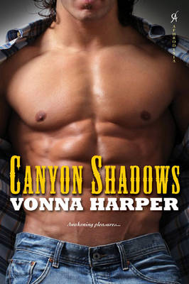 Canyon Shadows (Paperback)